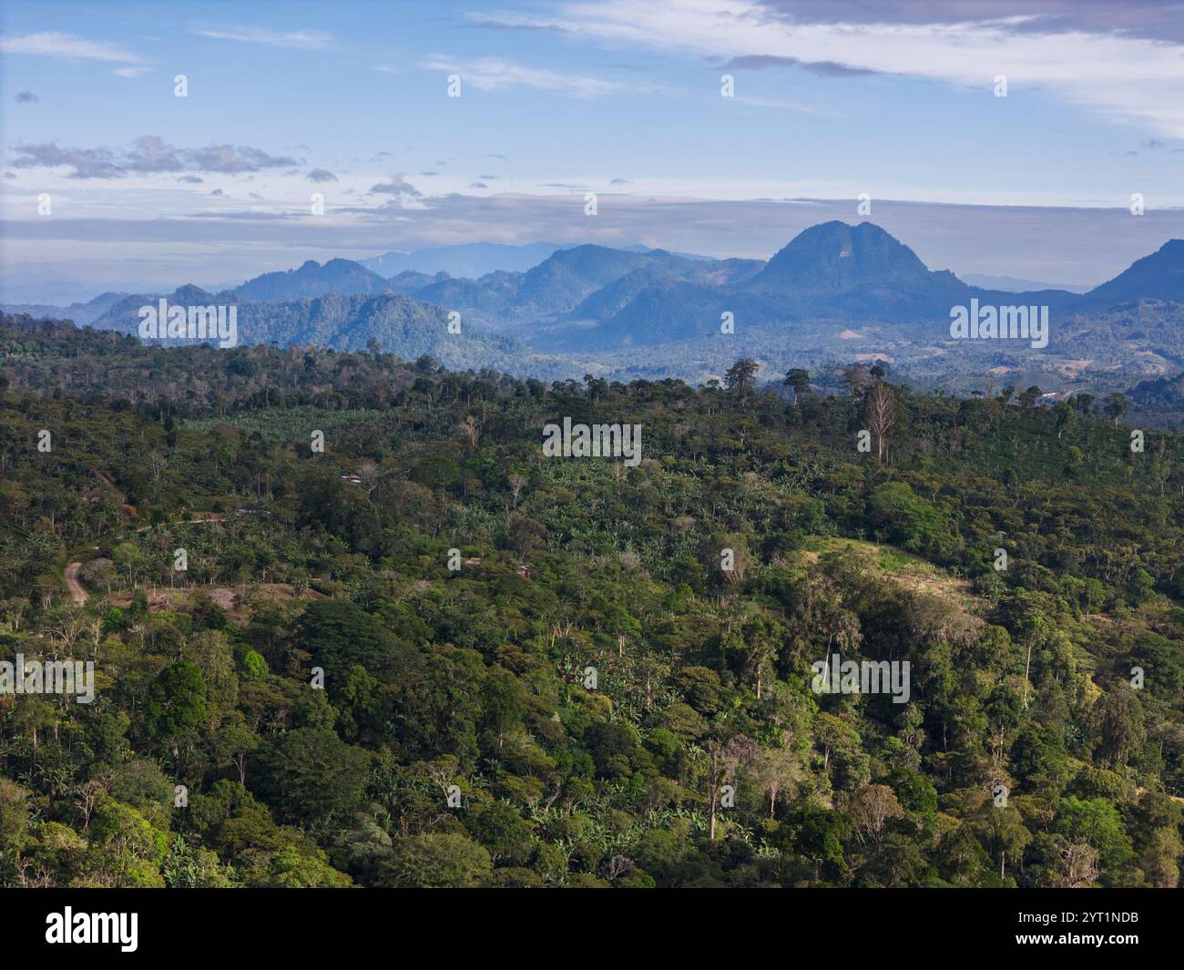 Foresta tropicale verde con vista aerea di montagne e colline Foto Stock