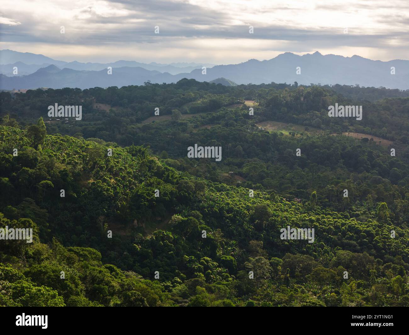 Vista aerea del paesaggio delle verdi colline tropicali dell'america centrale Foto Stock