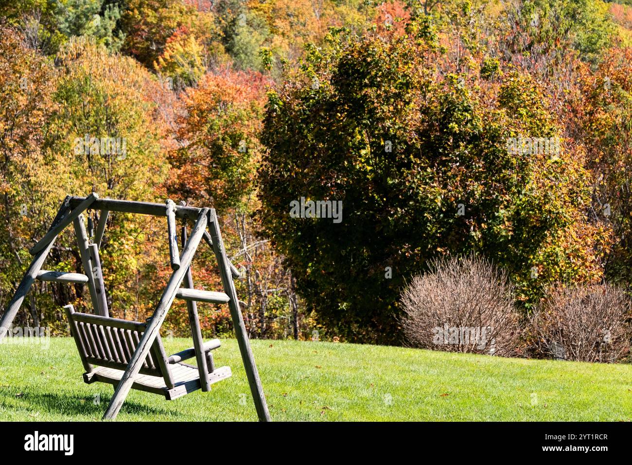 Altalena in legno sul campo d'erba con colori autunnali sugli alberi Foto Stock
