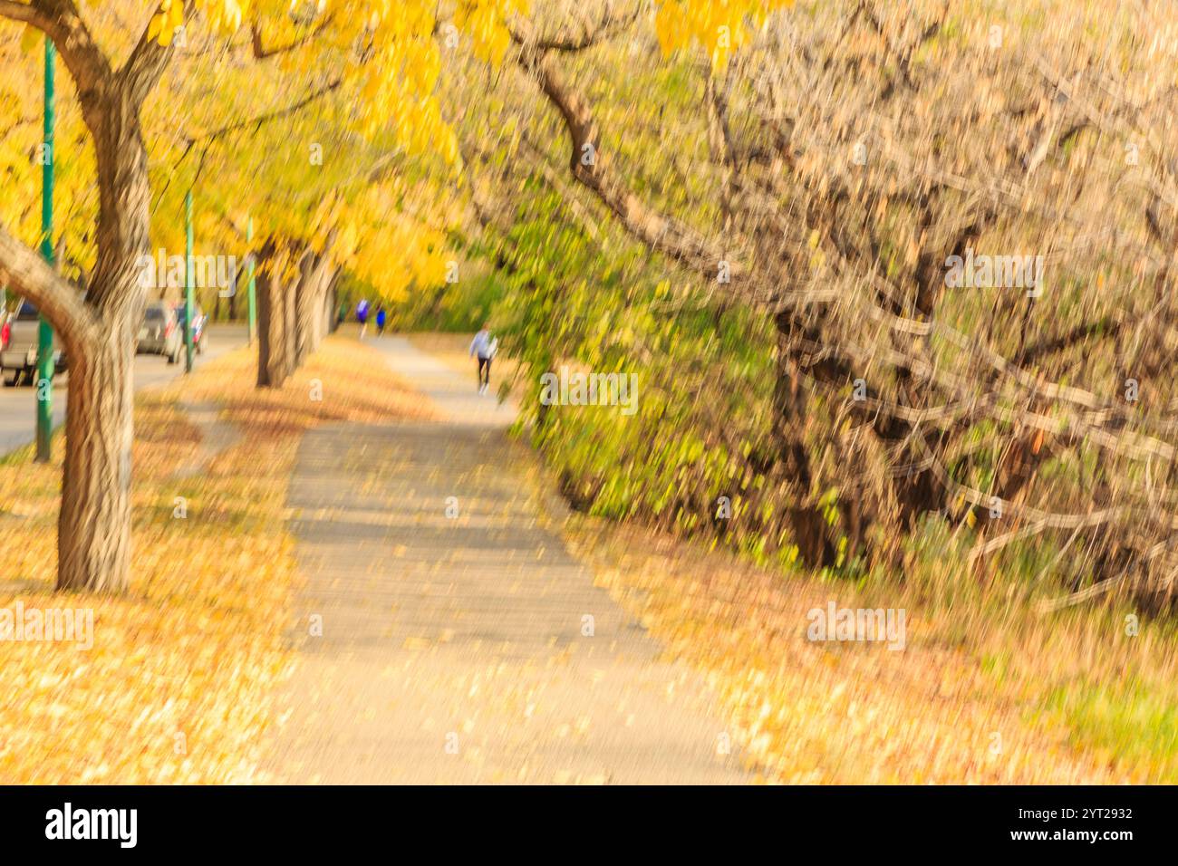 Un sentiero con alberi e foglie a terra. Le persone camminano e pedalano lungo il percorso Foto Stock
