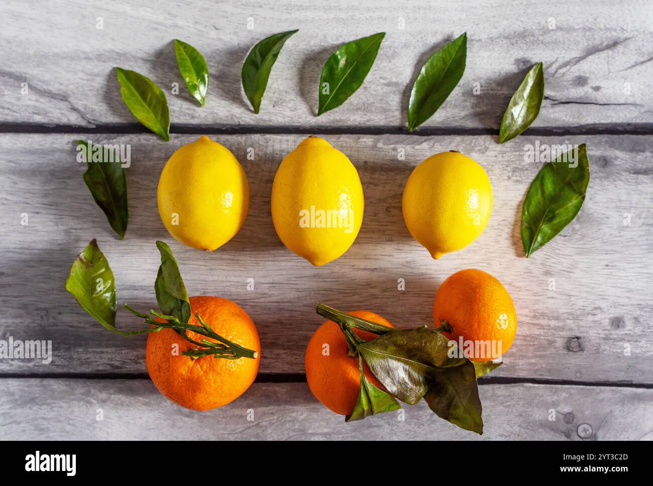 Mandarini, limoni e foglie verdi sono disposti in uno splendido motivo su un tavolo di legno grigio. Foto Stock