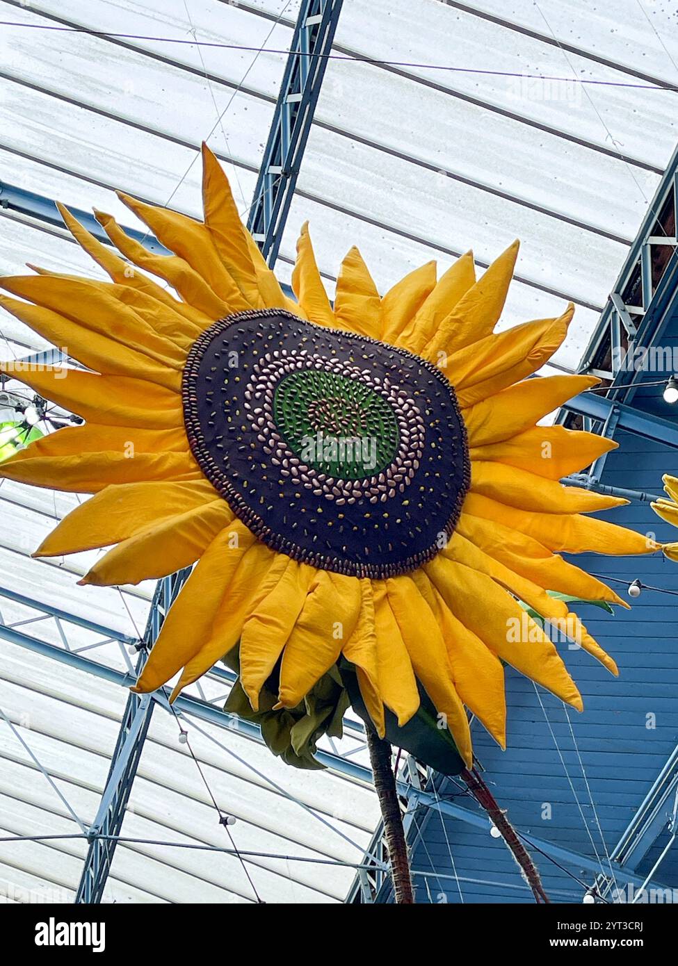 Mostra di fiori di Natale, mercato coperto, Abergavenny, Galles. REGNO UNITO - Immagine stock catturata con smartphone