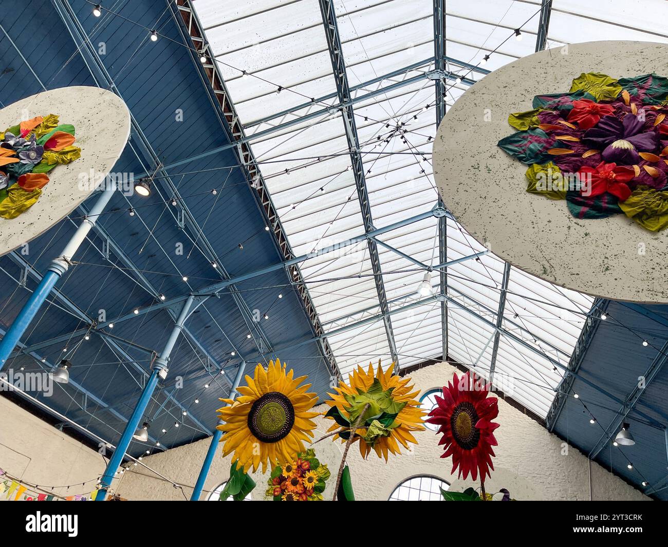 Mostra di fiori di Natale, mercato coperto, Abergavenny, Galles. REGNO UNITO - Immagine stock catturata con smartphone