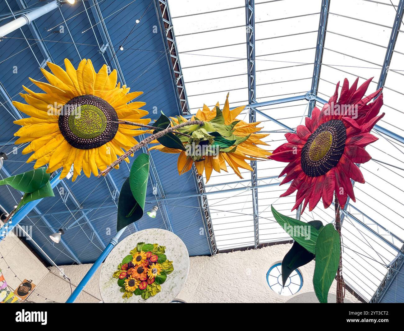 Mostra di fiori di Natale, mercato coperto, Abergavenny, Galles. REGNO UNITO - Immagine stock catturata con smartphone