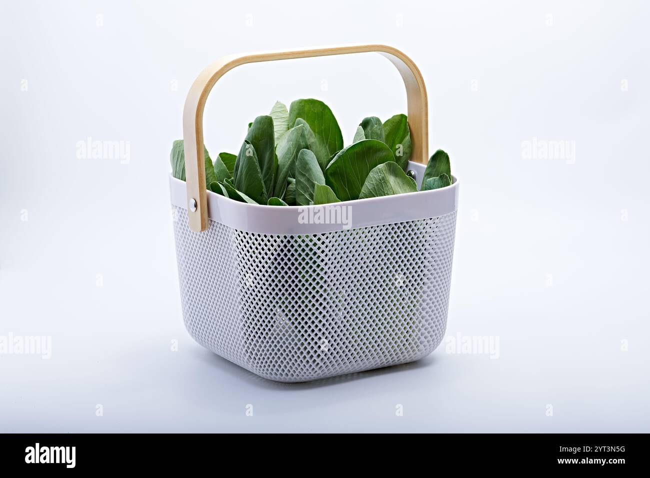 pak choy verdure sane in foto su sfondo bianco e base Foto Stock