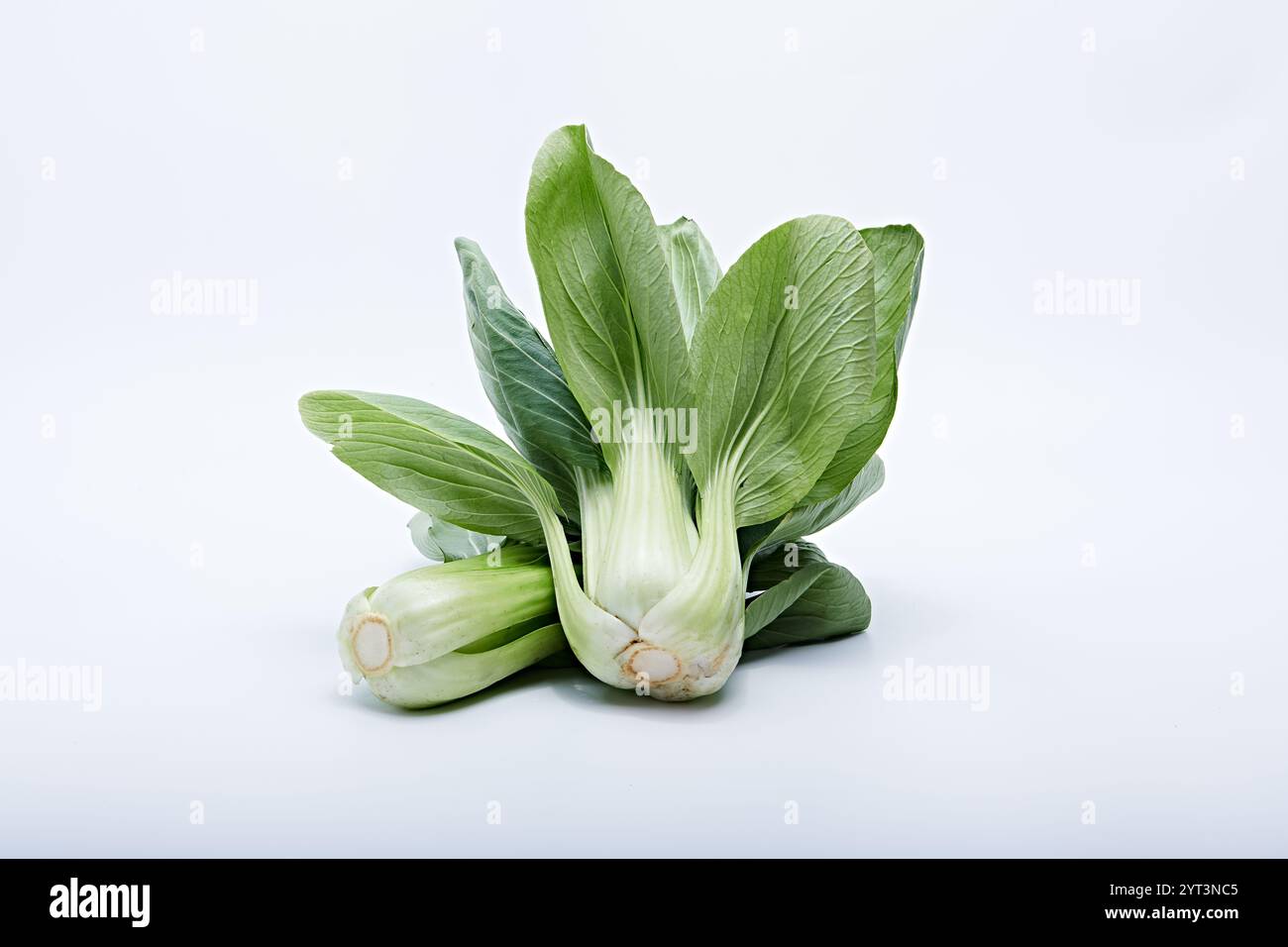 pak choy verdure sane in foto su sfondo bianco e base Foto Stock