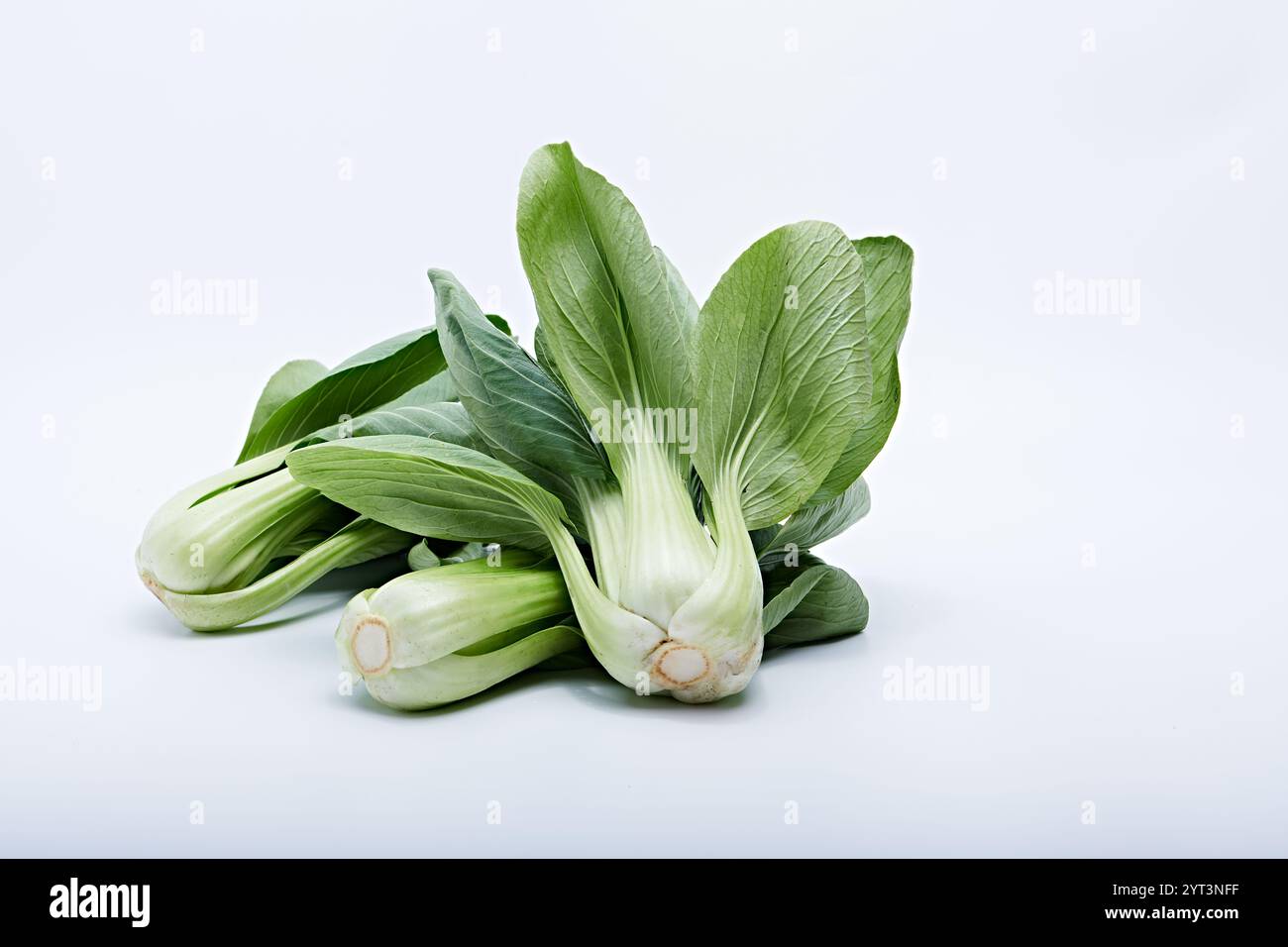 pak choy verdure sane in foto su sfondo bianco e base Foto Stock