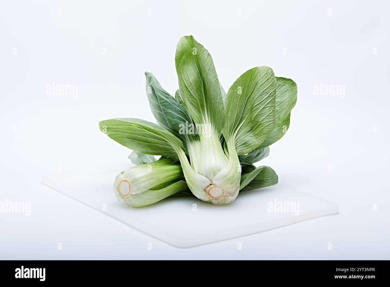 pak choy verdure sane in foto su sfondo bianco e base Foto Stock