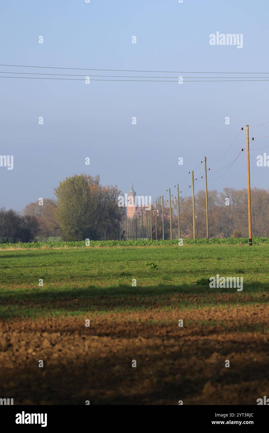 Vista sul Heckengäu fino alla torre della chiesa cittadina di Weil der Stadt Foto Stock