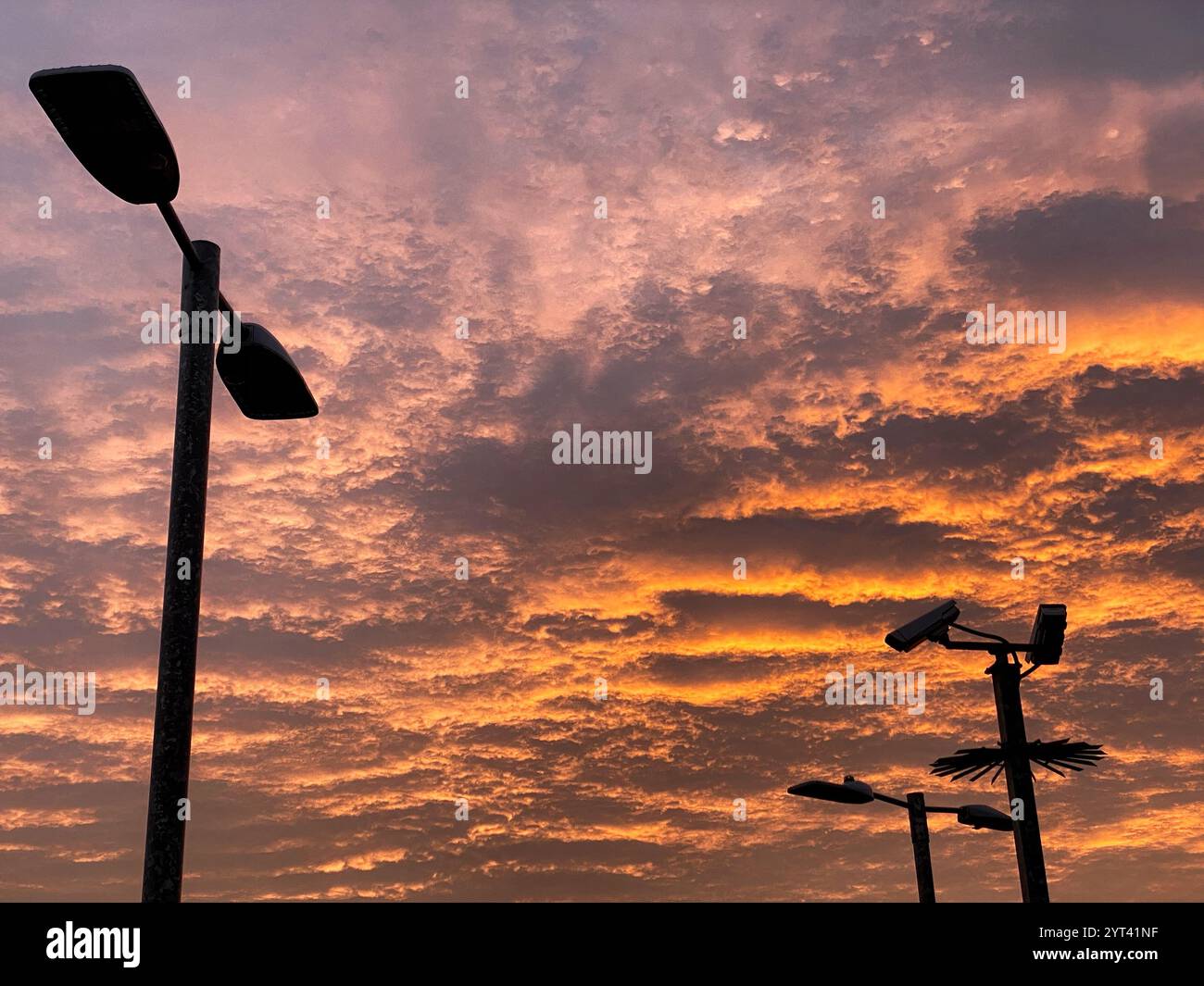 Cranbrook, Exeter, Devon, Regno Unito. 6 dicembre 2024. Meteo nel Regno Unito: Splendida alba davanti agli avvisi meteorologici Storm Darragh, Cranbrook, nr Exeter, Devon. Crediti: Nidpor/Alamy Live News Foto Stock