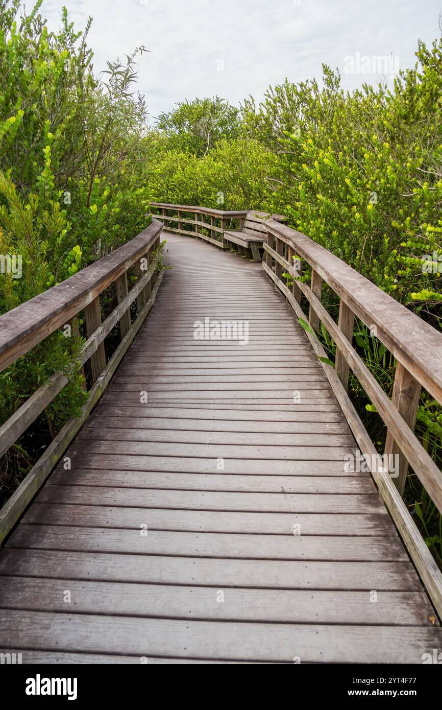 Una passeggiata sul lungomare all'Everglades National Park, Florida, Stati Uniti Foto Stock