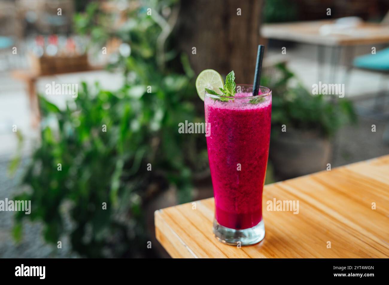 Vivace coda di rondine rosa al frutto della passione decorata con foglie di menta fresca Foto Stock