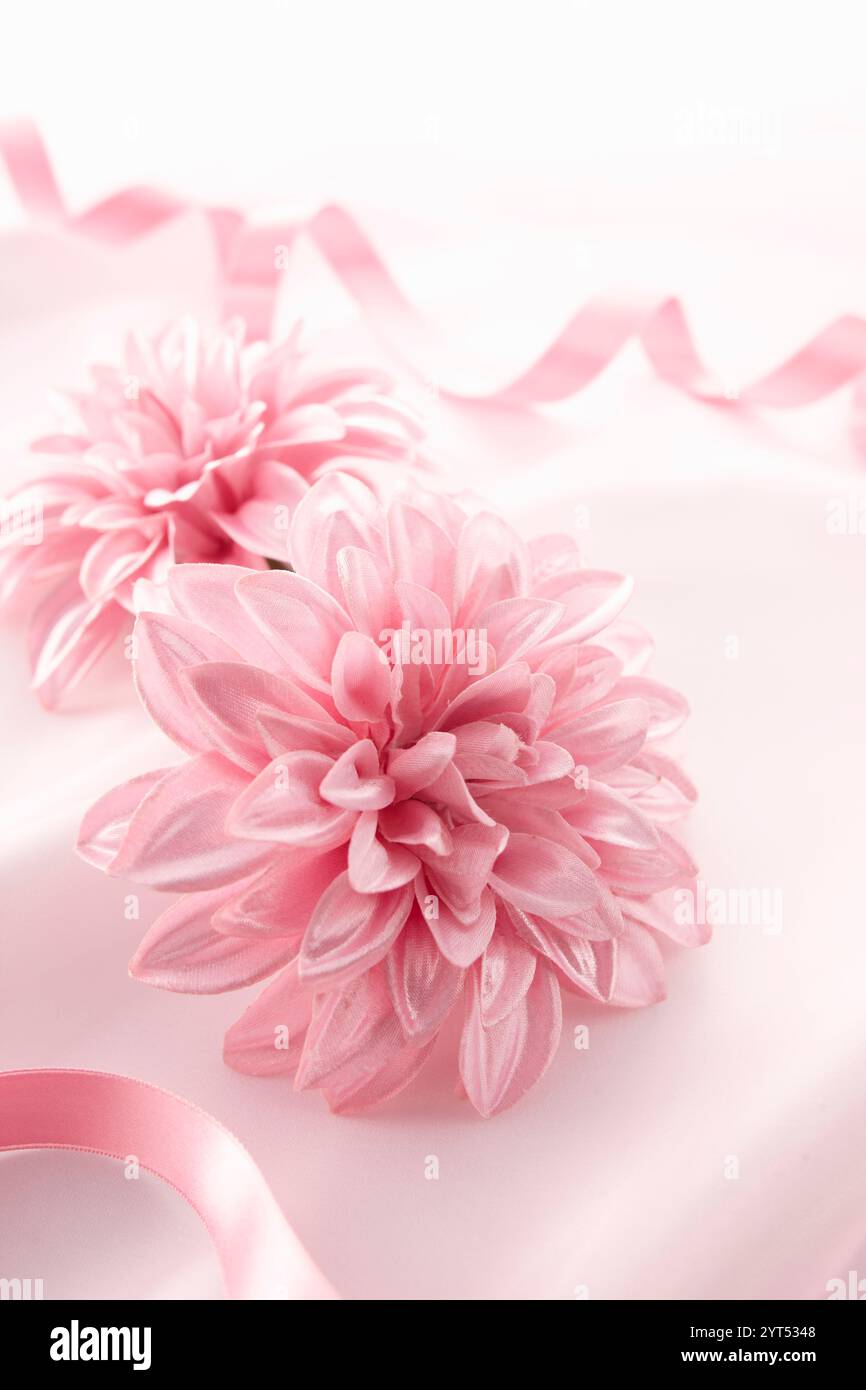 Immagine regalo di fiori rosa Foto Stock