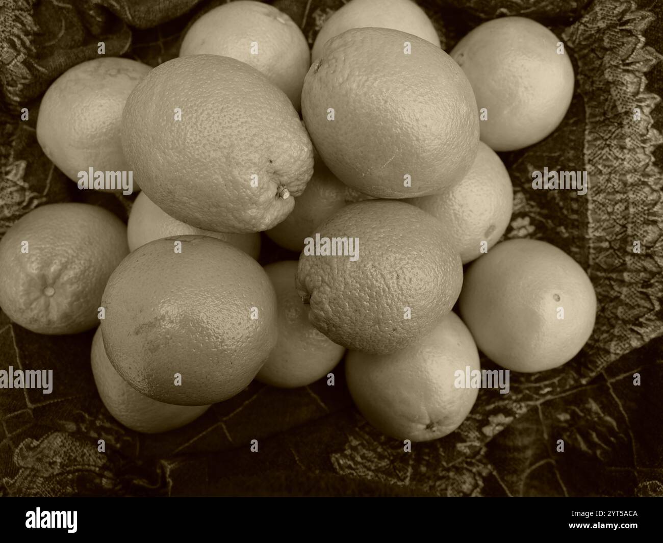 Le arance, fresche e succose, mostrano texture arancioni sulla buccia. E' una presentazione estetica dei frutti in seppia. Foto Stock