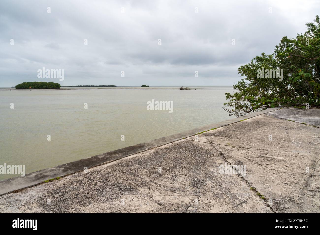 The View from the Flamingo NPS Building at the Everglades National Park, Florida, Stati Uniti Foto Stock