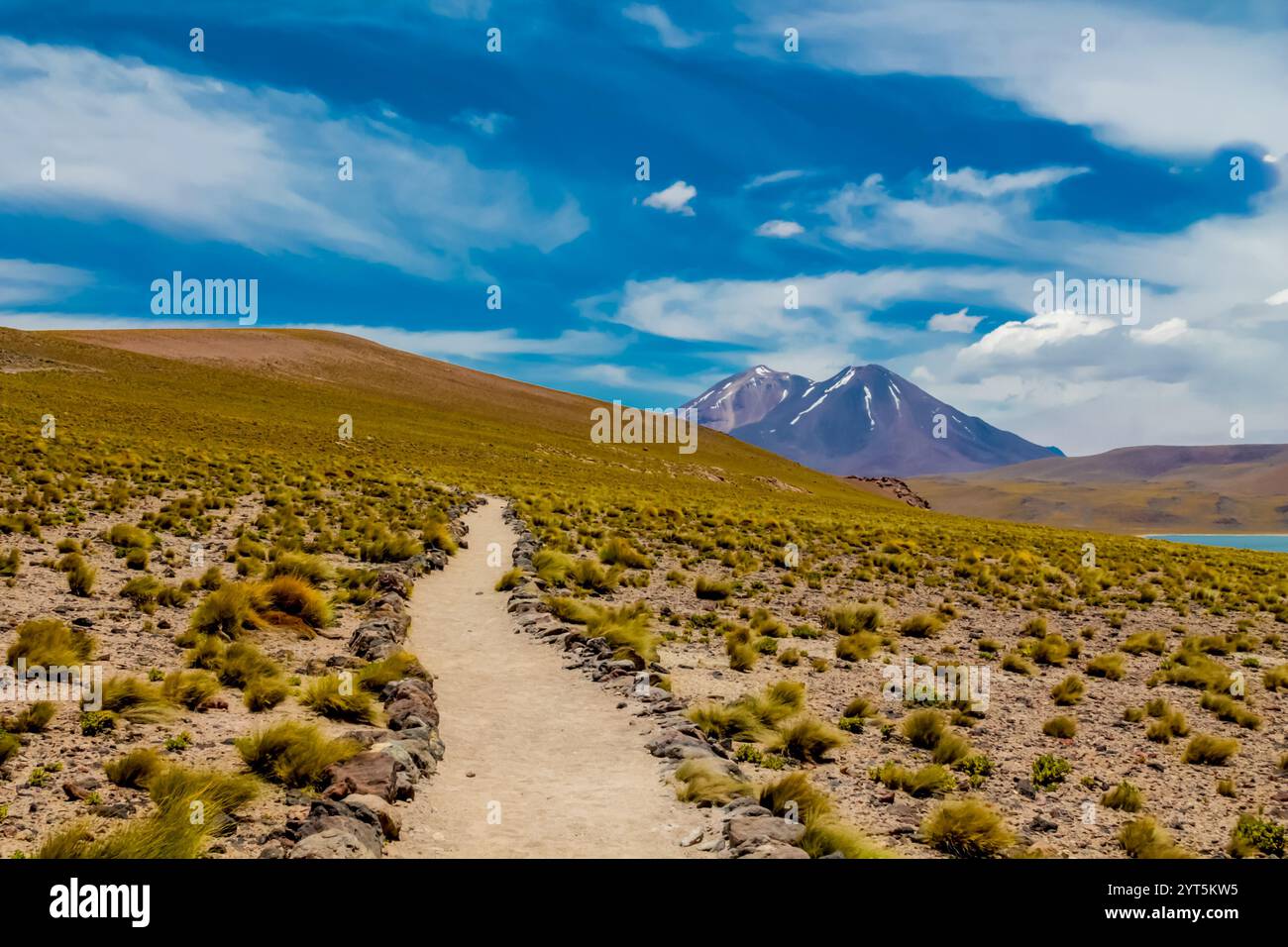 Laghi Lagunas Altiplanicas Miscanti y Minques nel deserto di Atacama in Cile. Altopiano di Altiplano e distese saline del paesaggio del Sud America. Laghi Salar Foto Stock