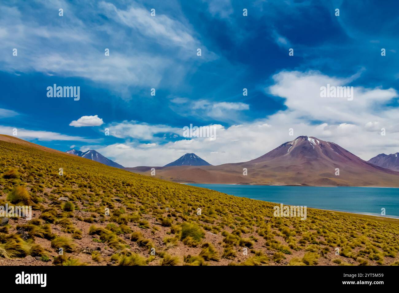 Laghi Lagunas Altiplanicas Miscanti y Minques nel deserto di Atacama in Cile. Altopiano di Altiplano e distese saline del paesaggio del Sud America. Laghi Salar Foto Stock