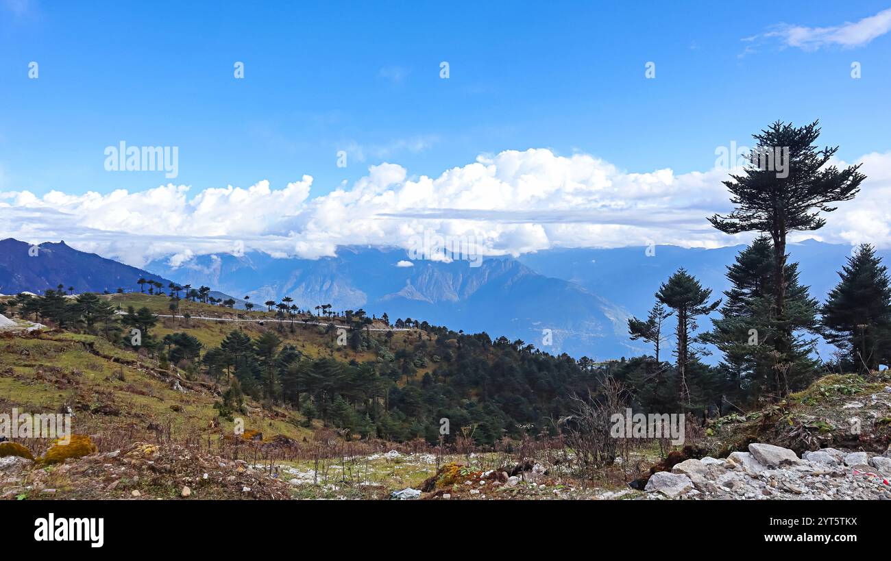 Maestosi paesaggi di montagna che circondano Tawang con vegetazione lussureggiante e vedute serene, Arunachal Pradesh, India. Foto Stock