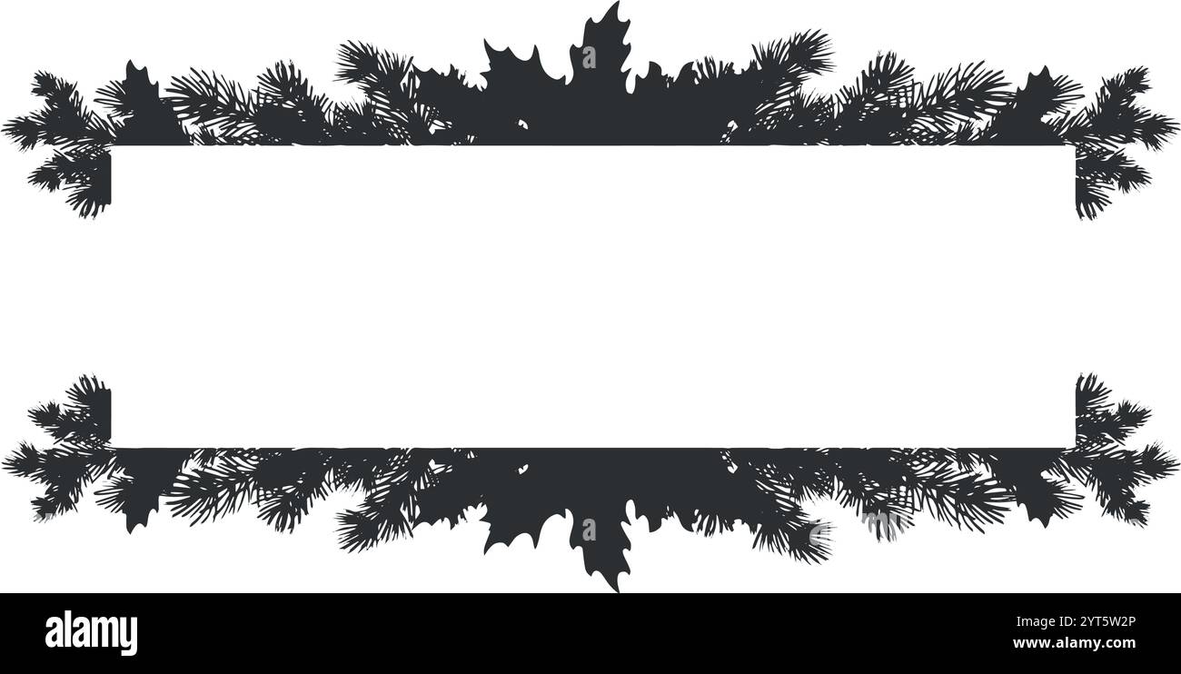 Il pino si dirama con holly. Modello cartolina di Natale. Ramoscello di abete con aghi. Illustrazione grafica vettoriale. Le vacanze invernali fanno da sfondo a casa Illustrazione Vettoriale