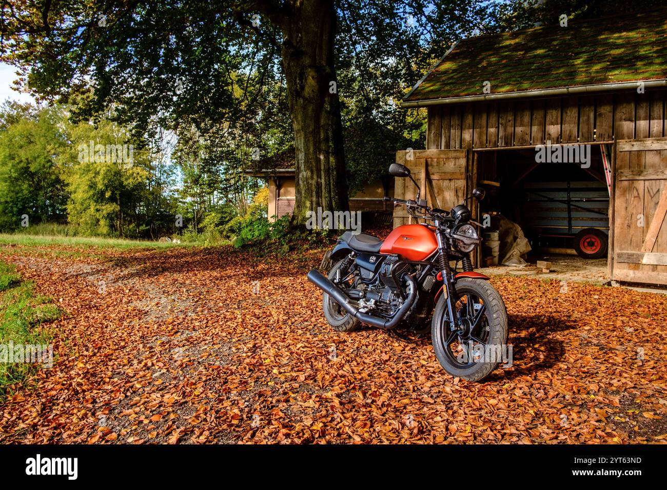 Eine Moto Guzzi V7 steht vor einer Holzhütte unter einem Baum auf herbstlichem Laub. Baden Württemberg, Deutschland Motorrad im Herbst *** Una Moto Guzzi V7 si trova di fronte ad una capanna di legno sotto un albero in autunno lascia Baden Württemberg, Germania motociclo in autunno Foto Stock
