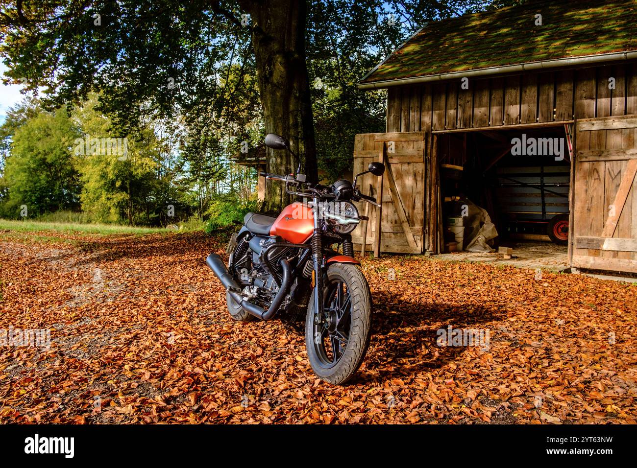 Eine Moto Guzzi V7 steht vor einer Holzhütte unter einem Baum auf herbstlichem Laub. Baden Württemberg, Deutschland Motorrad im Herbst *** Una Moto Guzzi V7 si trova di fronte ad una capanna di legno sotto un albero in autunno lascia Baden Württemberg, Germania motociclo in autunno Foto Stock