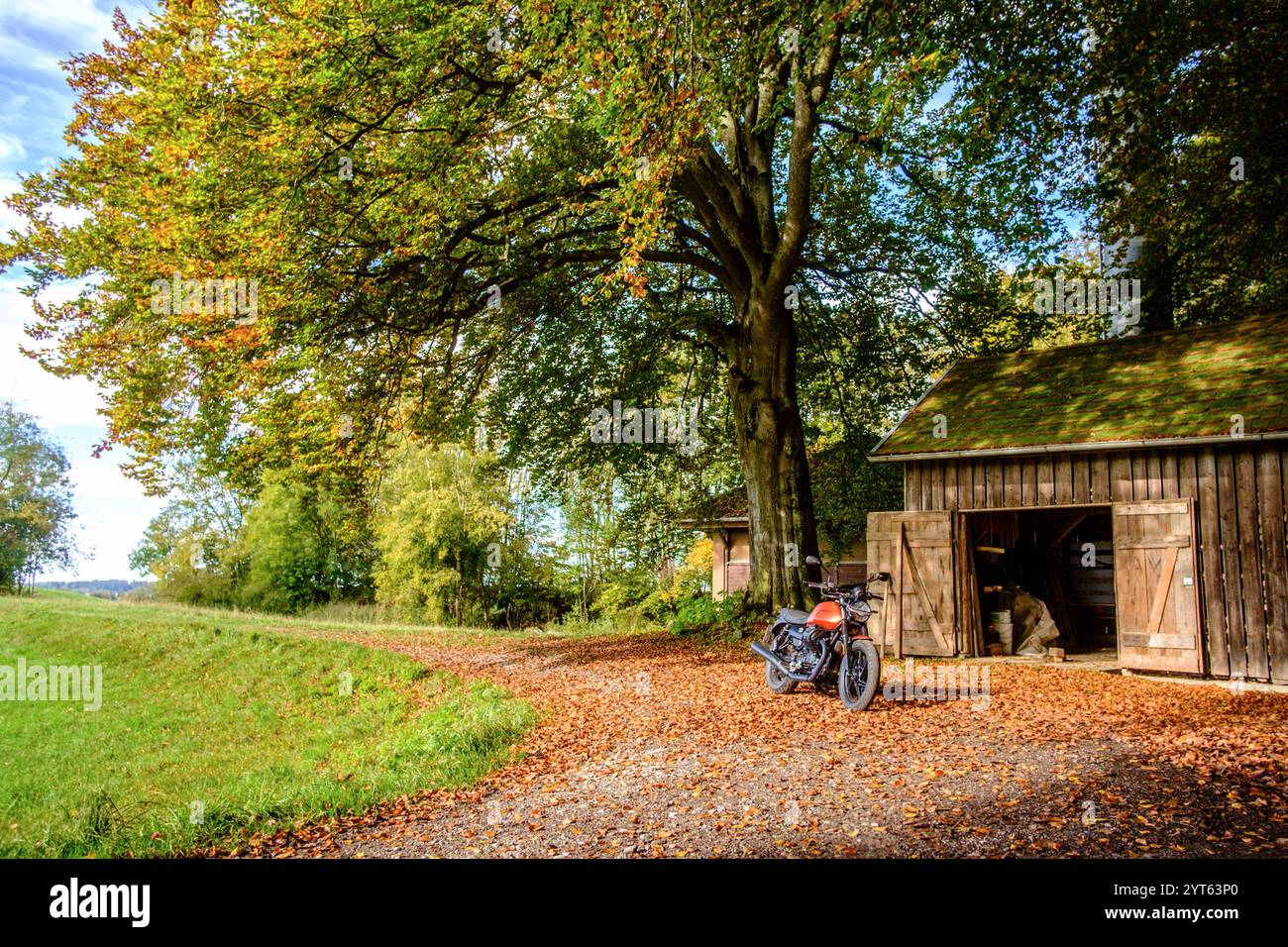 Eine Moto Guzzi V7 steht vor einer Holzhütte unter einem Baum auf herbstlichem Laub. Baden Württemberg, Deutschland Motorrad im Herbst *** Una Moto Guzzi V7 si trova di fronte ad una capanna di legno sotto un albero in autunno lascia Baden Württemberg, Germania motociclo in autunno Foto Stock