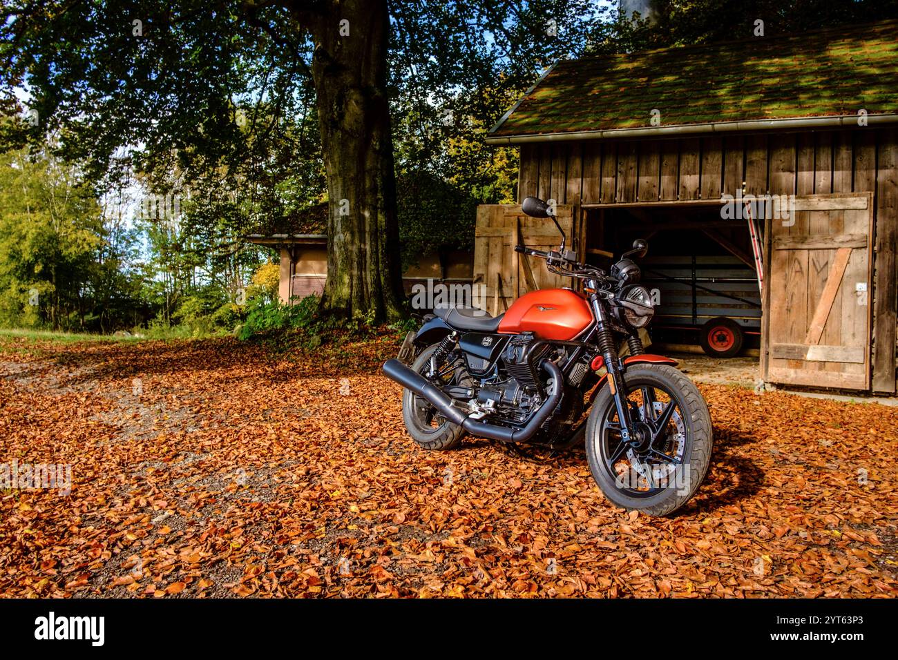 Eine Moto Guzzi V7 steht vor einer Holzhütte unter einem Baum auf herbstlichem Laub. Baden Württemberg, Deutschland Motorrad im Herbst *** Una Moto Guzzi V7 si trova di fronte ad una capanna di legno sotto un albero in autunno lascia Baden Württemberg, Germania motociclo in autunno Foto Stock