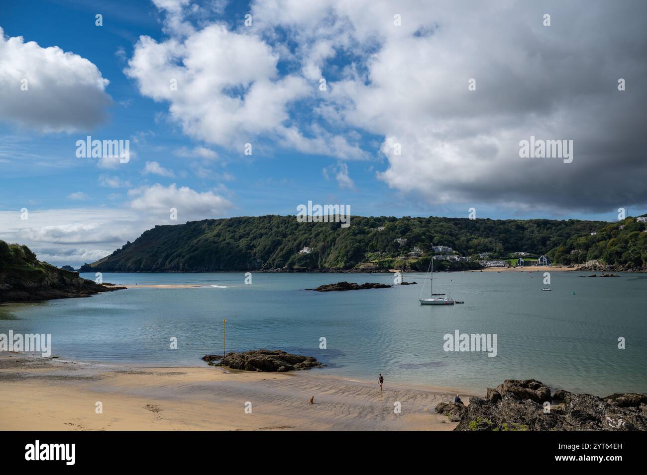 Autunno a South Hams, con un cane che viene camminato sulla spiaggia di Sunny Cove con la bassa marea, North Sands e Overbecks in vista sullo sfondo Foto Stock