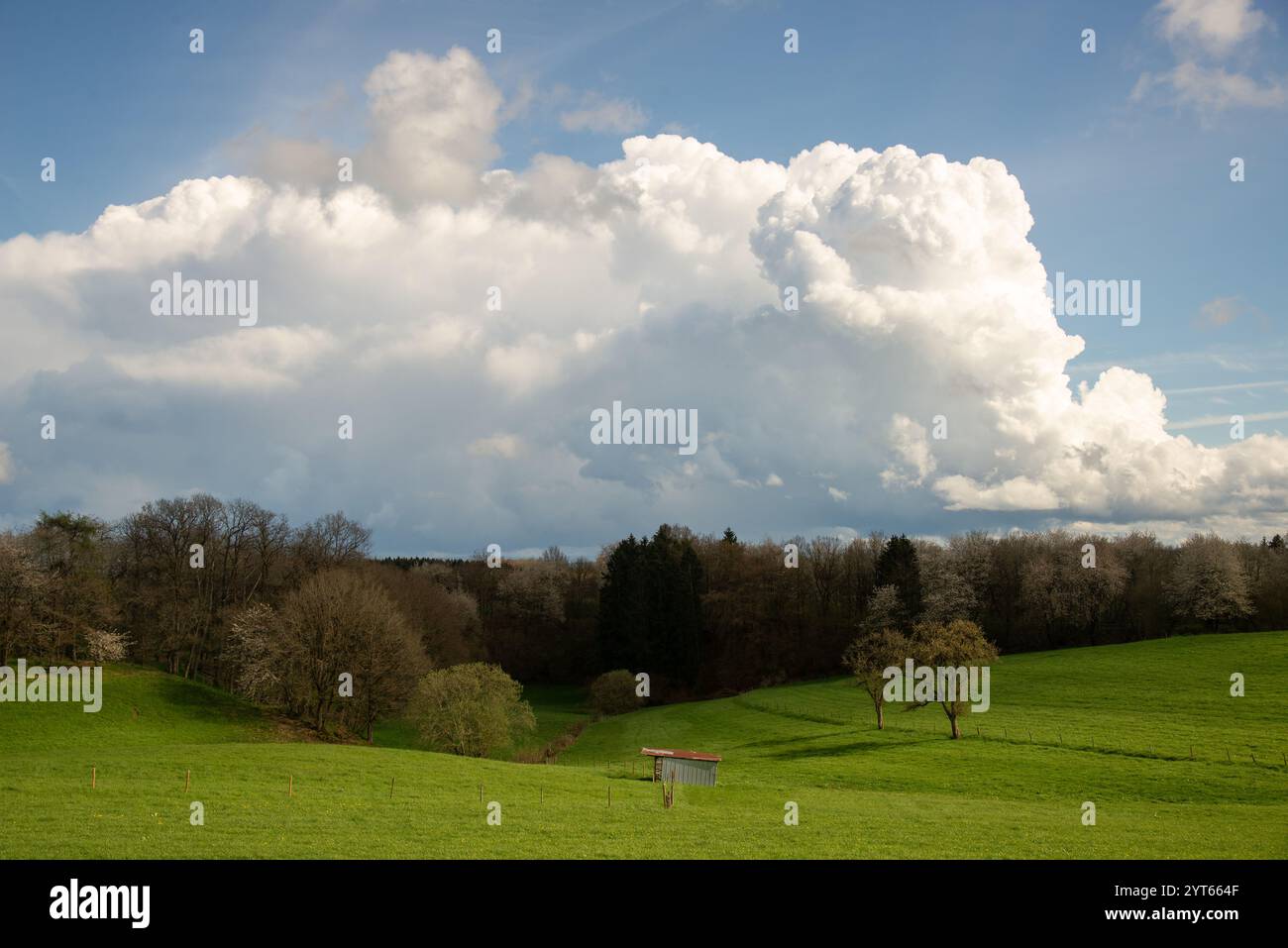Campi agricoli alla Eiffel in Germania Foto Stock