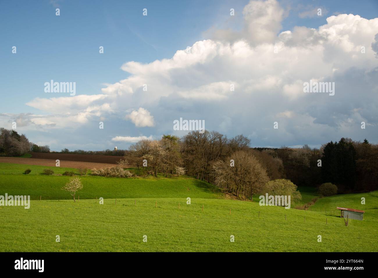Campi agricoli alla Eiffel in Germania Foto Stock
