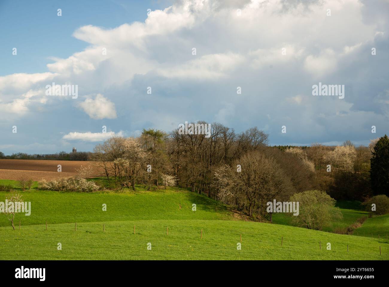 Campi agricoli alla Eiffel in Germania Foto Stock