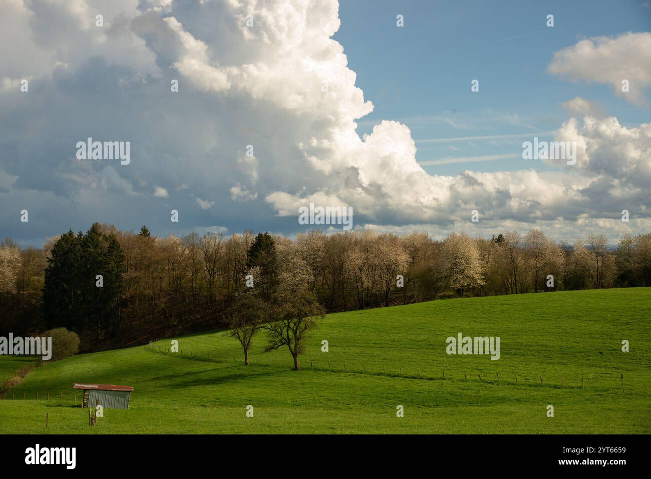 Campi agricoli alla Eiffel in Germania Foto Stock
