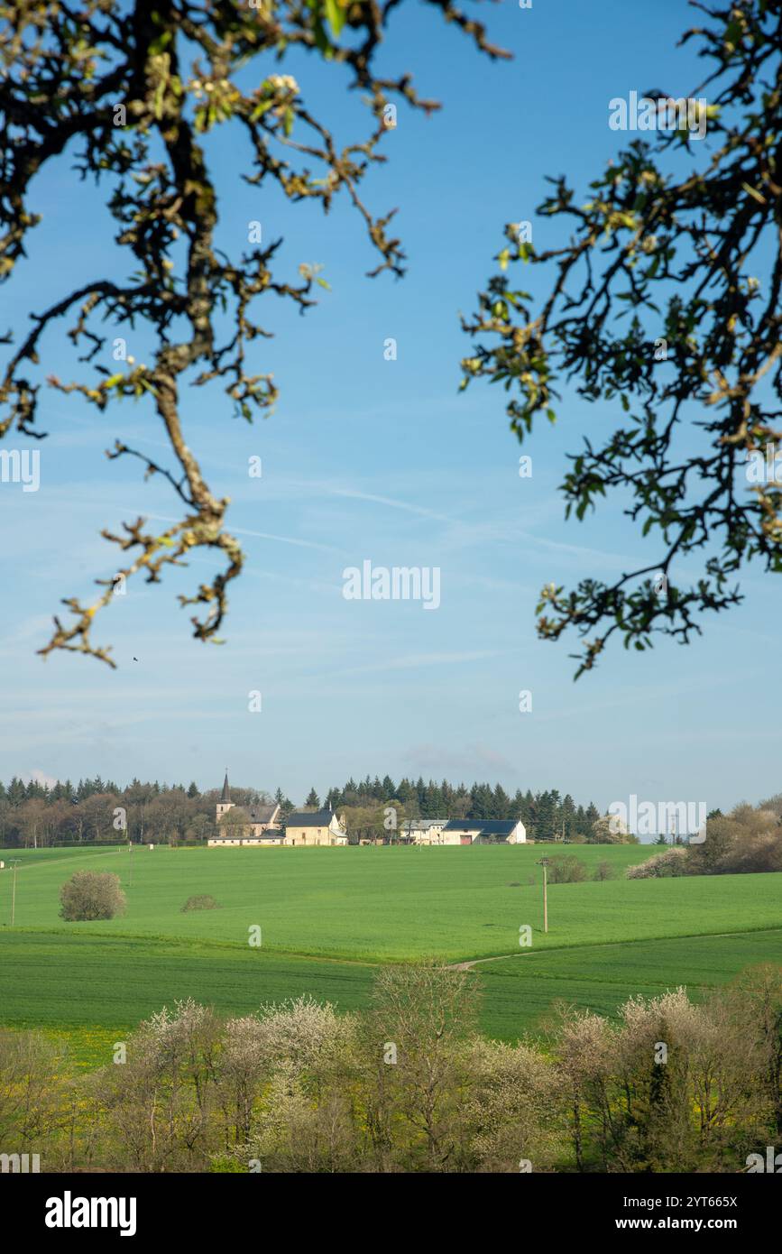 Campi agricoli alla Eiffel in Germania Foto Stock