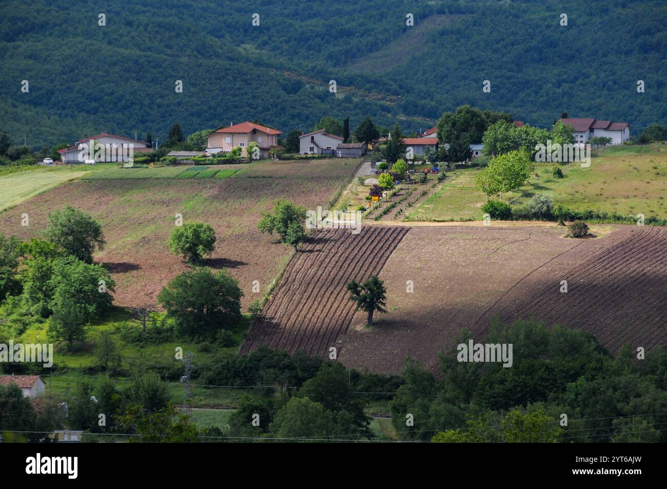 Paesaggio tipico dell'Italia meridionale della Lucania in Basilicata. Satriano di Lucania, Basilicata. Foto Stock