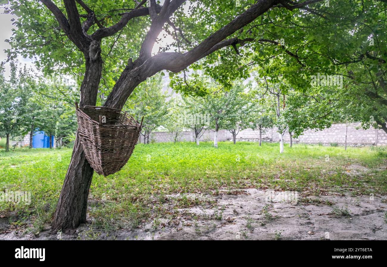 Vista mattutina al Giardino di mele e ciliegie Foto Stock