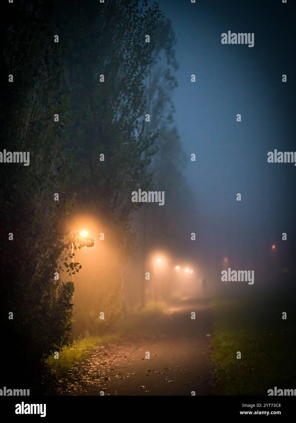 Percorso nella luce della lanterna, nebbia, alba Foto Stock