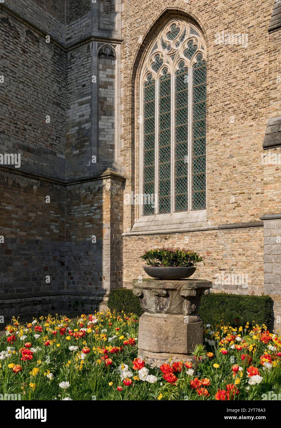 Ypres, la chiesa di San Giacomo è una pseudo-basilica gotica ed è un edificio storico. Fu completamente distrutto durante la prima guerra mondiale e ricostruito a partire dal 1923 secondo i piani dell'architetto Jules Coomans. Dettagli della vista esterna, finestra a tracolla, letto a tulipani Foto Stock