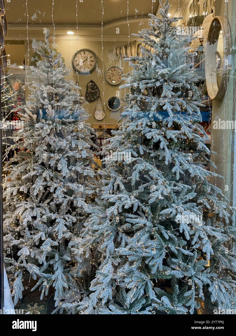 Questa foto diurna presenta un'affascinante mostra natalizia di alberi di Natale smerigliati all'interno di una vetrina. Gli alberi sono spolverati di neve artificiale, evo Foto Stock