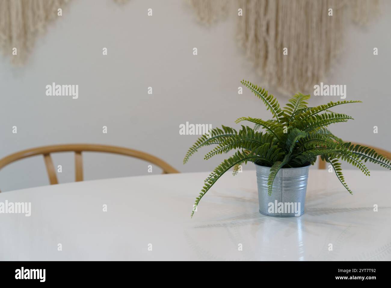 Una felce in vaso siede su un tavolo bianco con sedie in legno e un muro in macrame appeso. L'ambiente è minimalista e luminoso, con particolare attenzione alla pianta. Foto Stock