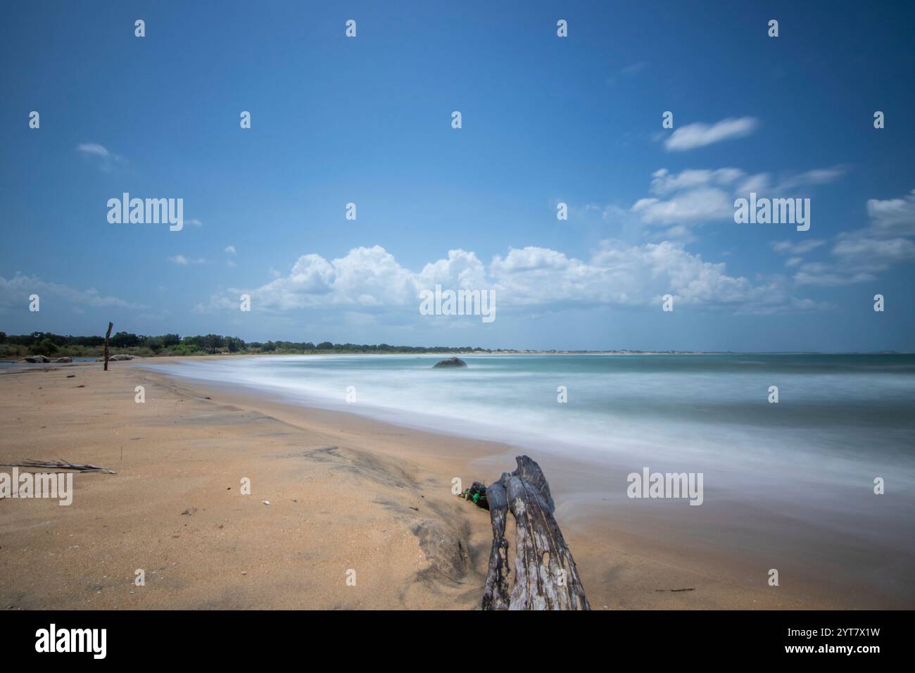 La più antica riserva naturale in un paesaggio incredibile. Il mare e la spiaggia sabbiosa come confine naturale e natura pura nel Parco Nazionale di Yala, uva, Sri Lanka, India, Asia Foto Stock