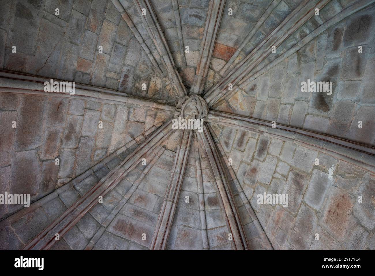 Volta a coste a otto costole, Monastero di Santa María de Carracedo, X secolo, Carracedo del Monasterio, regione di El Bierzo, Castiglia e León, Spagna Foto Stock