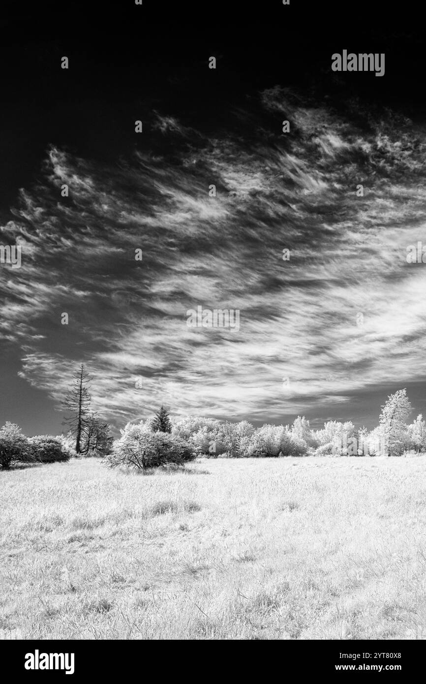 Europa, Germania, Renania-Palatinato, Westerwald, Hoher Westerwald, formazione di nuvole sul prato di montagna vicino a Westernohe Foto Stock