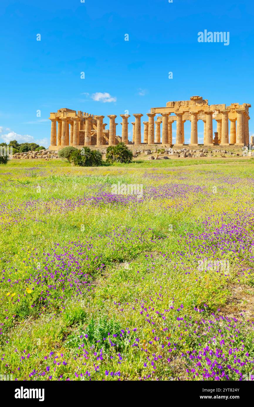 Tempio e, Parco Archeologico di Selinunte, Selinunte, Distretto di Trapani, Sicilia, Italia Foto Stock