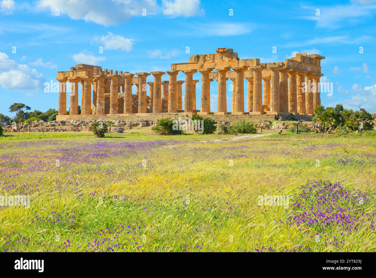Tempio e, Parco Archeologico di Selinunte, Selinunte, Distretto di Trapani, Sicilia, Italia Foto Stock