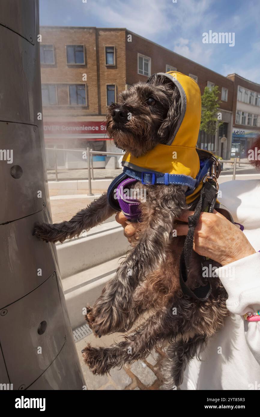 Inghilterra, Kent, dover, la piazza del mercato, gli anelli in acciaio, donna che tiene il cane da compagnia contro lo spruzzo di vapore dell'acqua di raffreddamento Foto Stock