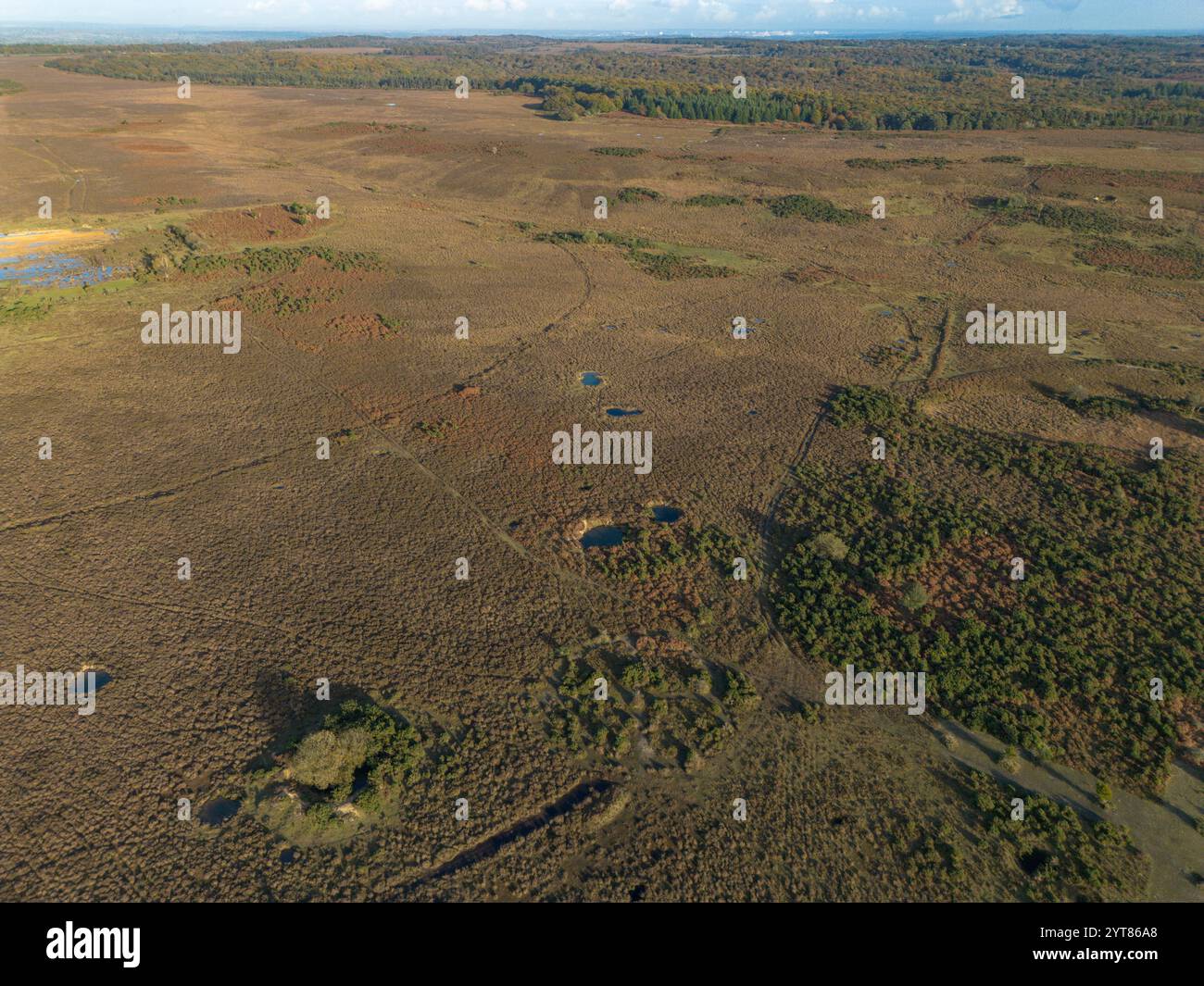 Vista aerea dei crateri della seconda guerra mondiale, Ashley Walk Bombing Range, Hampshire, Regno Unito. Foto Stock