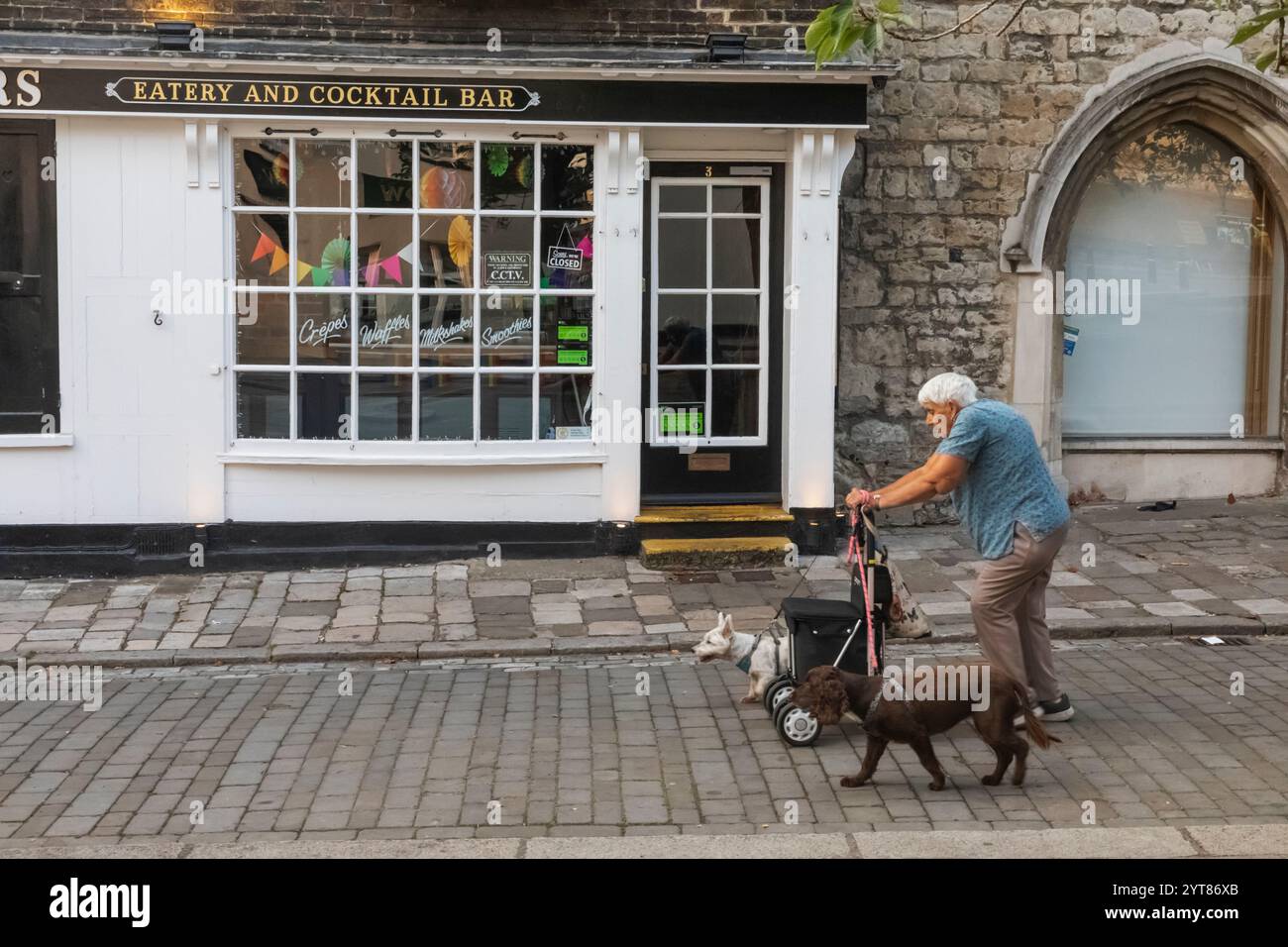 Inghilterra, Kent, Rochester, scena di strada che mostra persone anziane con cani che camminano oltre il cocktail Bar Foto Stock