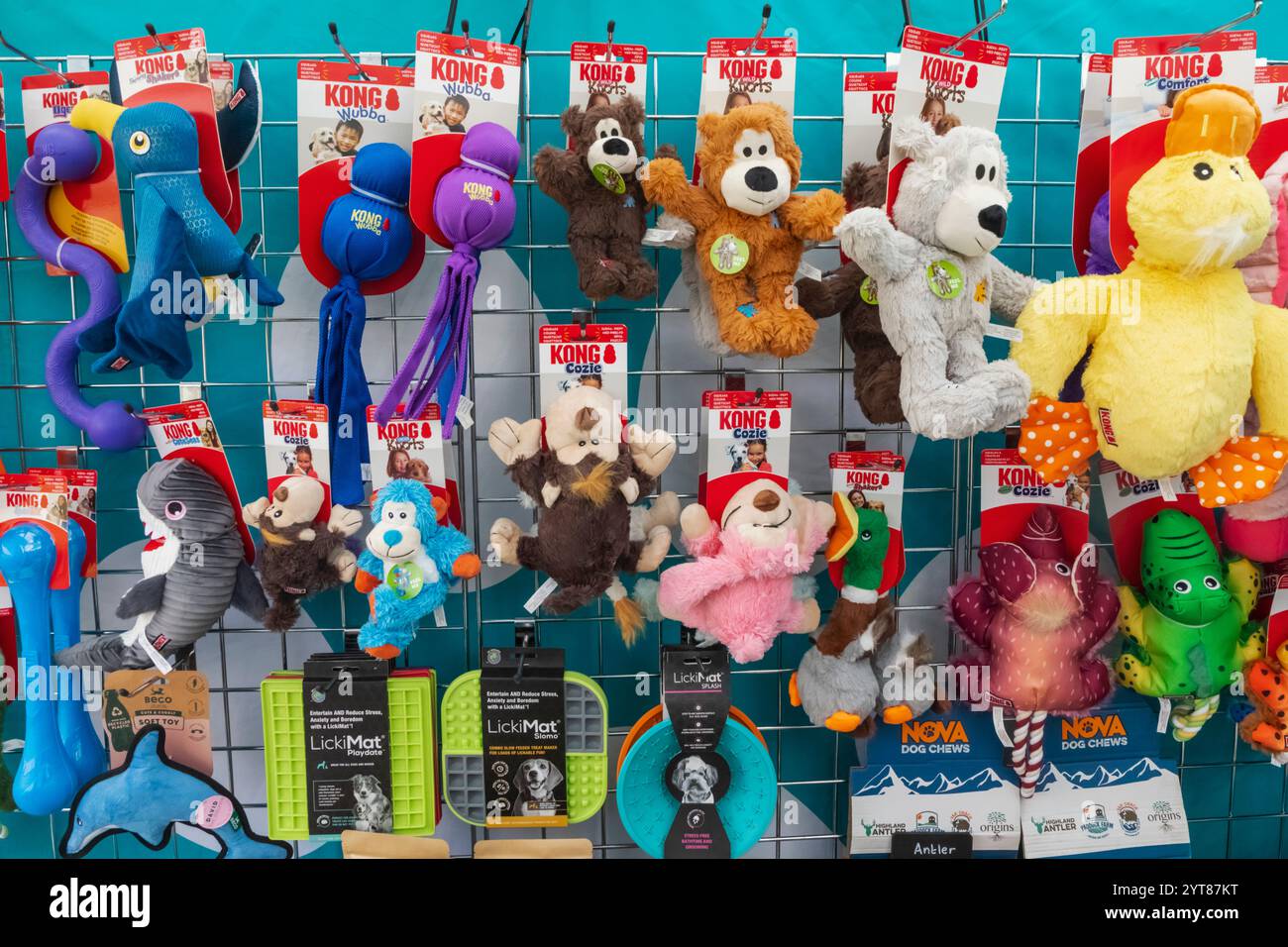 Inghilterra, Kent, Deal, Betteshanger Country Park, Pawfest, mostra di giocattoli per cani Foto Stock