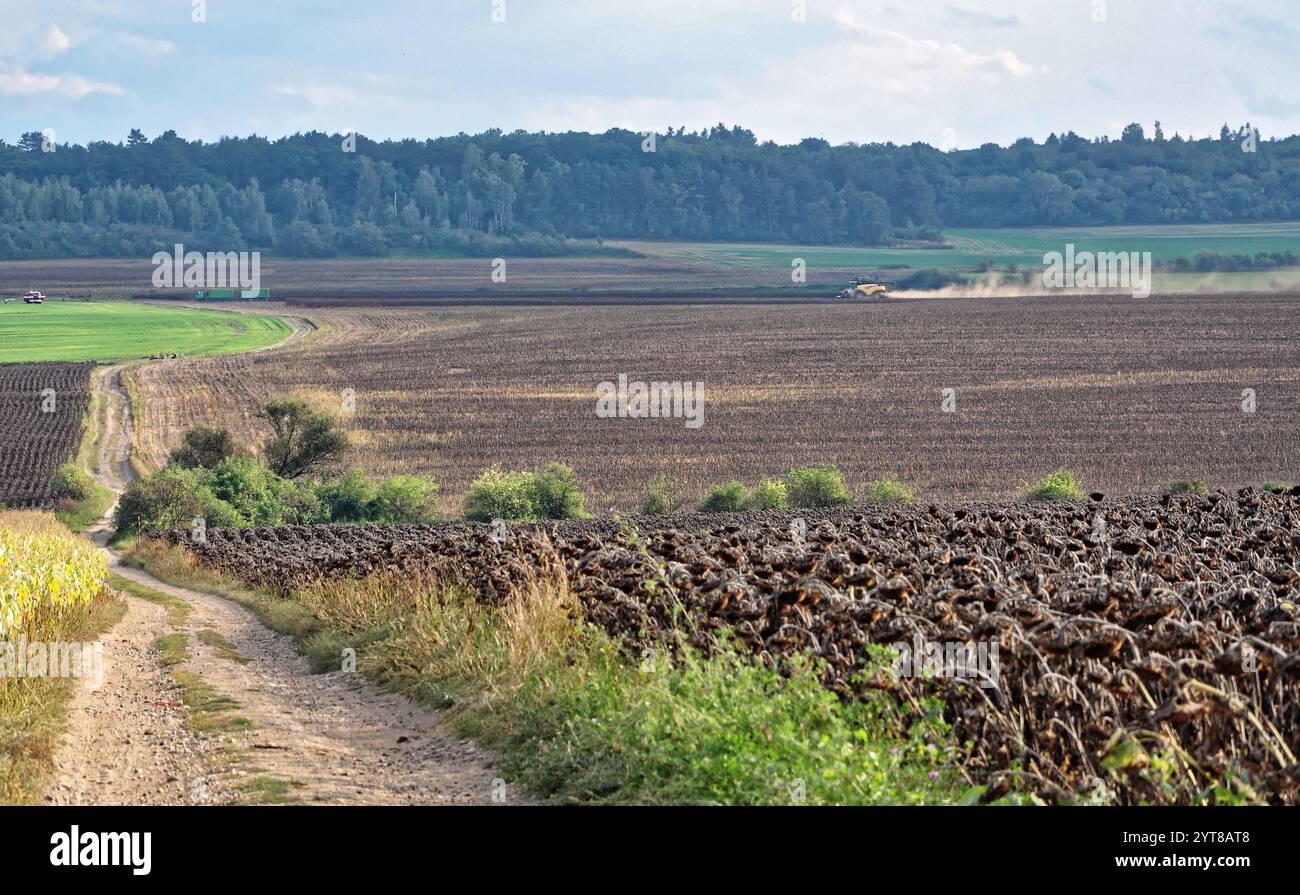 Toulání po okolí Roudnice nad Labem / vagando per Roudnice nad Labem Foto Stock