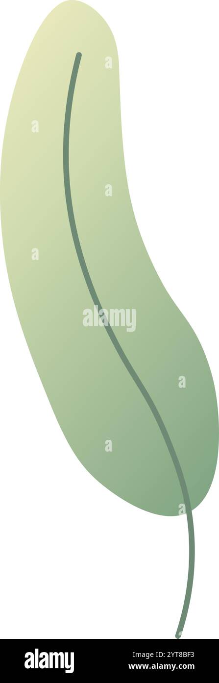 Singola foglia verde allungata caratterizzata da una sottile sfumatura e da una prominente vena centrale, che rappresenta la crescita naturale e l'eleganza delle forme organiche Illustrazione Vettoriale